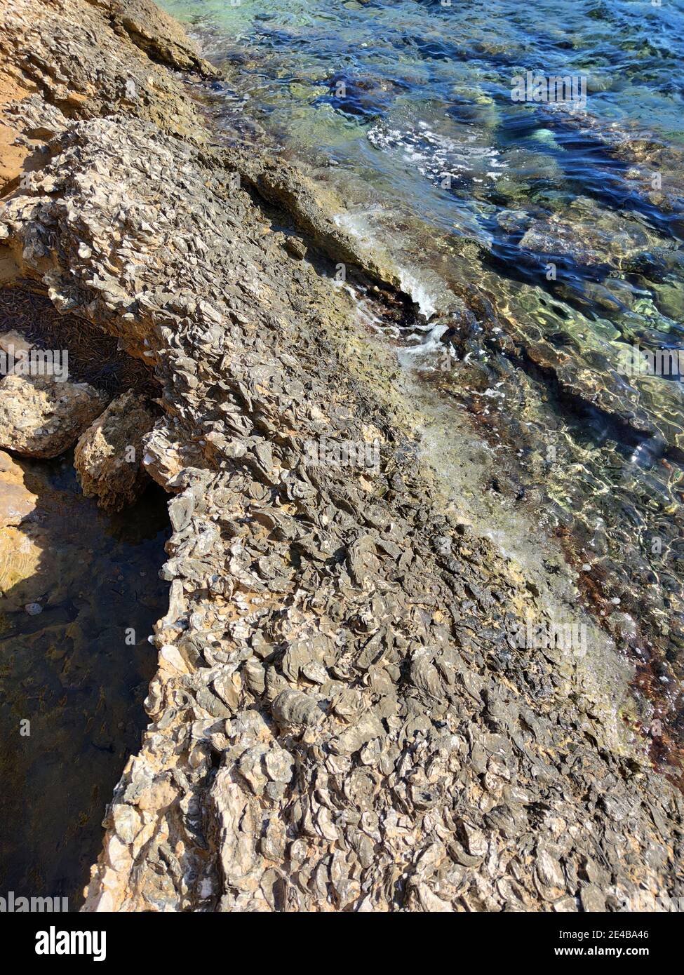 Les falaises de Mitikas sont une caractéristique géologique. Des milliers de coquilles pétrifiées couvrent les roches de grès, la mer Ionienne, le centre de la Grèce Banque D'Images