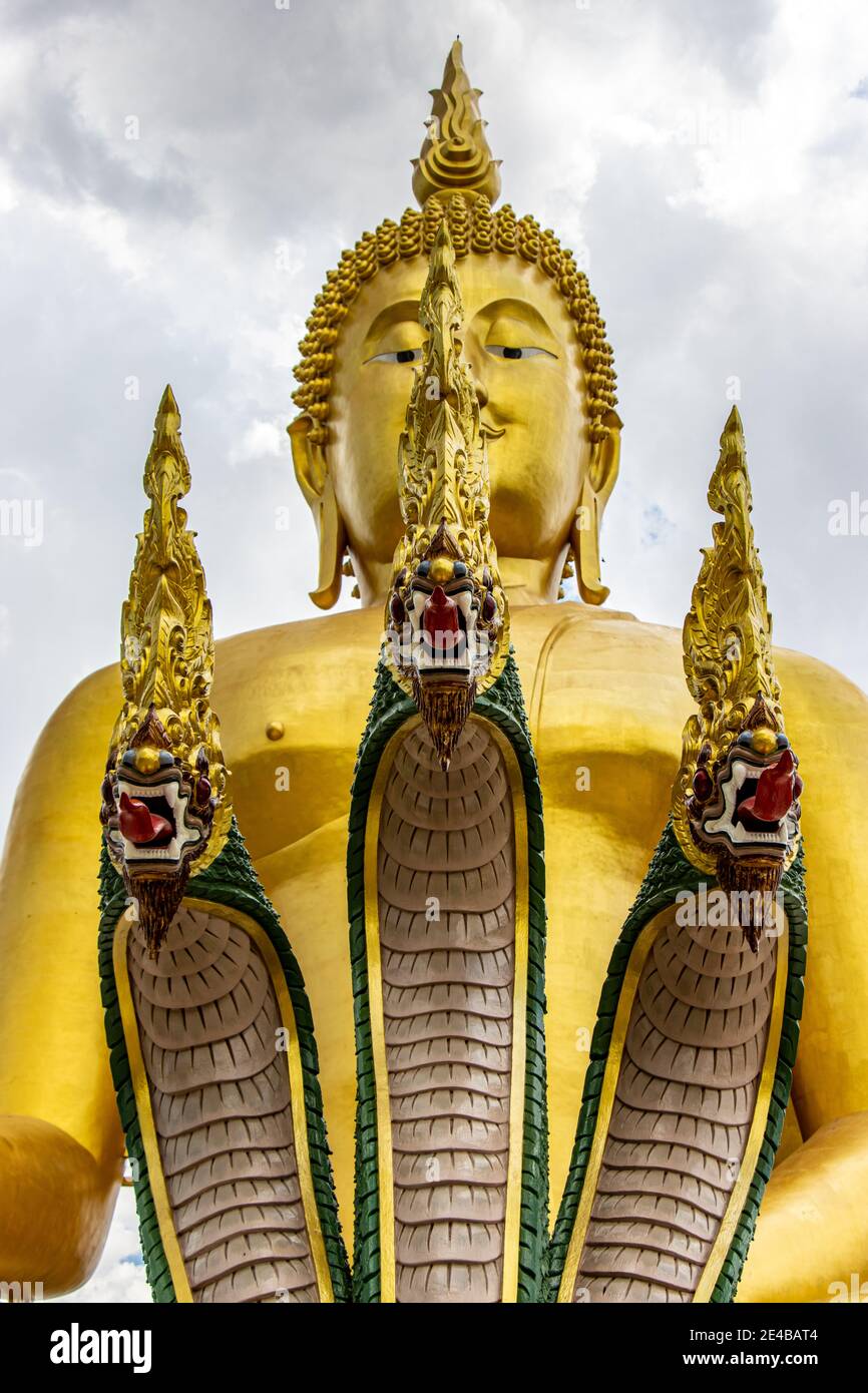 La Naga et large​ golden​ sitting​ Buddha​ statue​ at​ Wat​ Muang​ temple​ located​ Ang​ Thong et Ayutthaya.​ Banque D'Images
