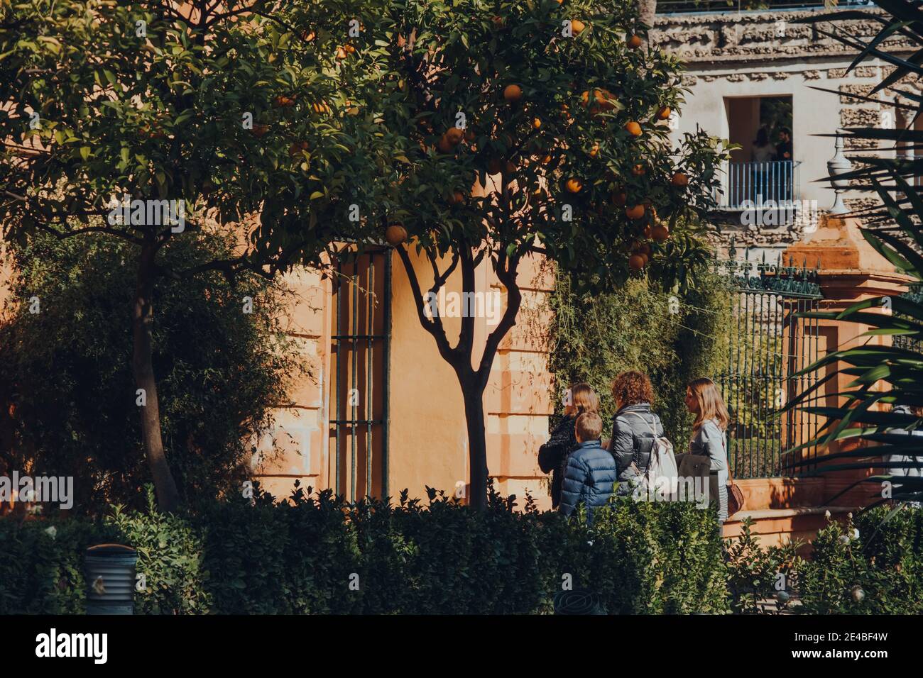 Séville, Espagne - 19 janvier 2020: Vue à travers les arbres des personnes marchant dans le jardin des Dames à Alcazar de Séville, un palais royal construit FO Banque D'Images