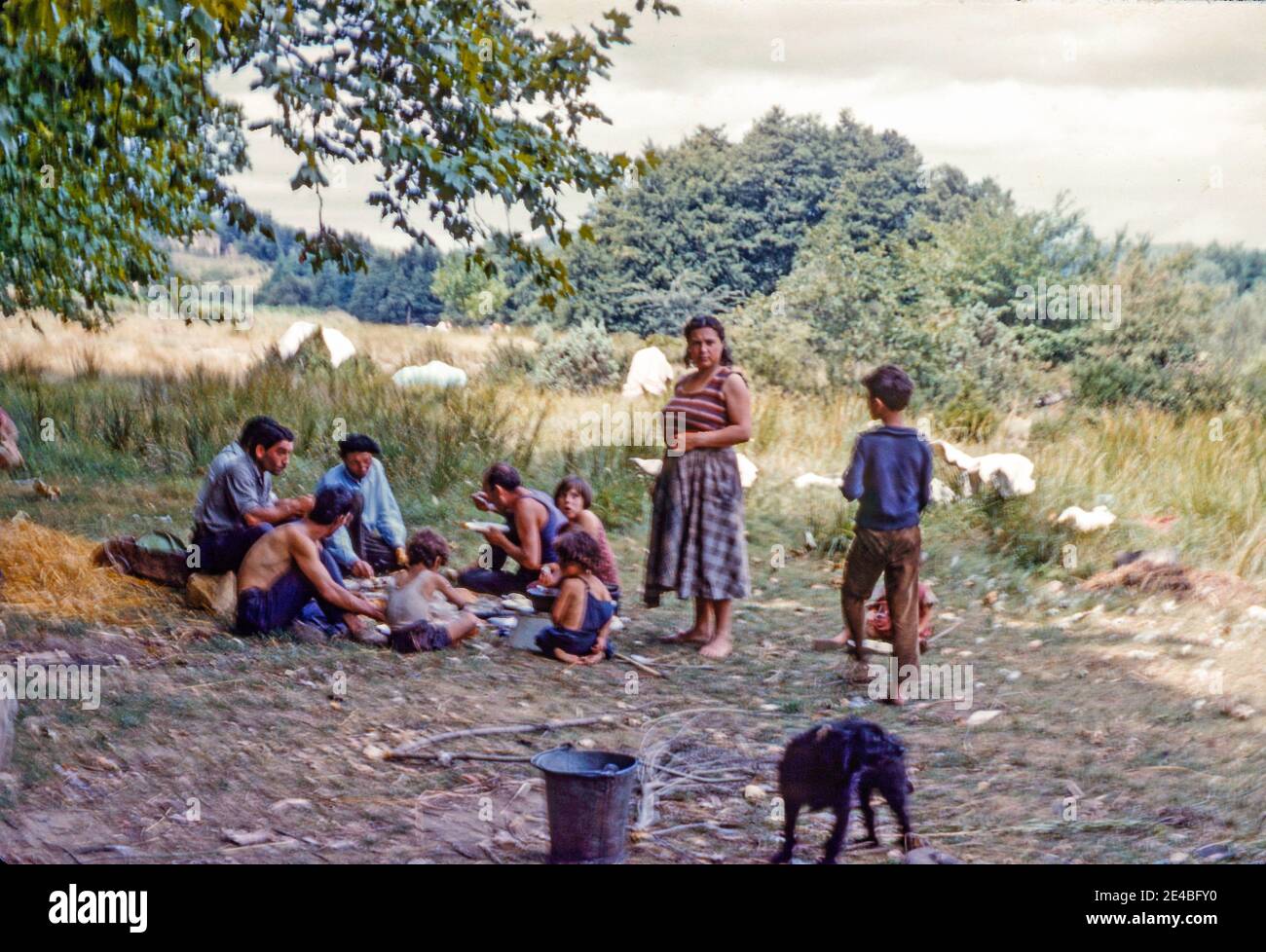 Famille tzigane ayant un repas sous un arbre, la Roque-sur-Cèze, Gard, France, au début des années soixante. Banque D'Images