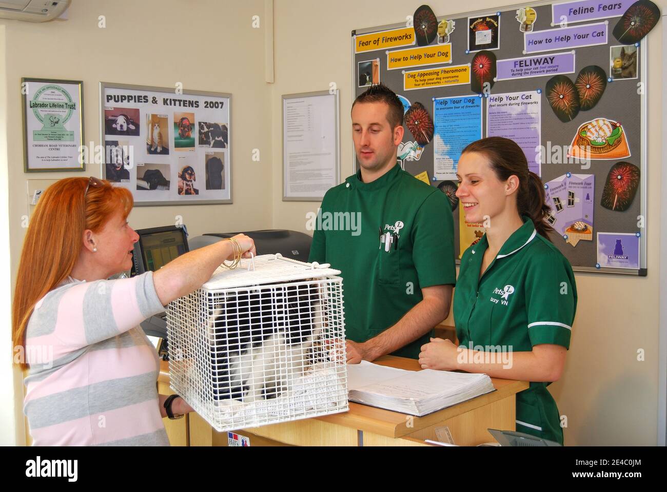 L'EFP et l'assistant à la réception avec cat et propriétaire en clinique vétérinaire, Sunninghill, Berkshire, Angleterre, Royaume-Uni Banque D'Images