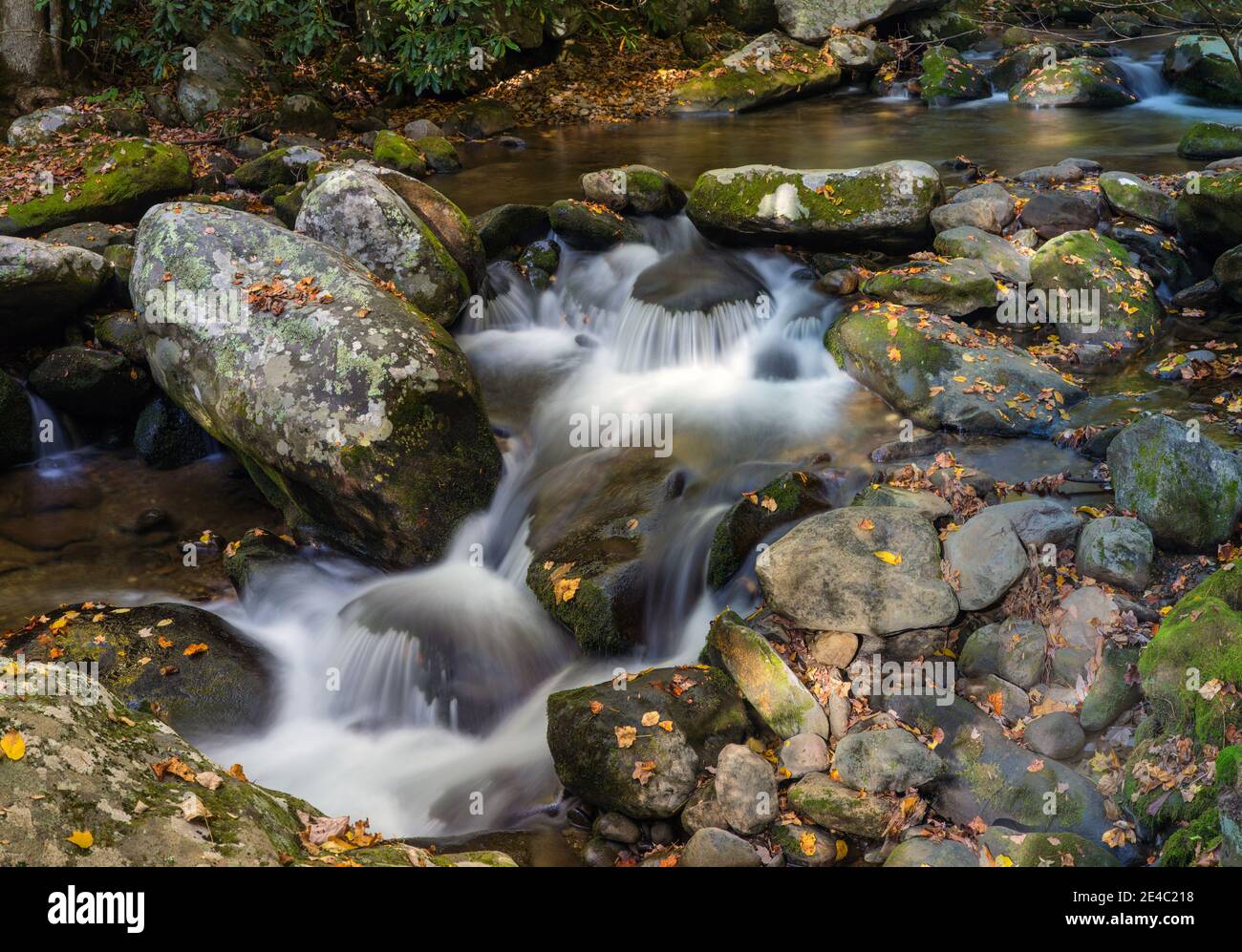 Ruisseau traversant des rochers dans une forêt, sentier de randonnée de Roaring Fork Motor nature Trail, parc national des Great Smoky Mountains, Tennessee, États-Unis Banque D'Images