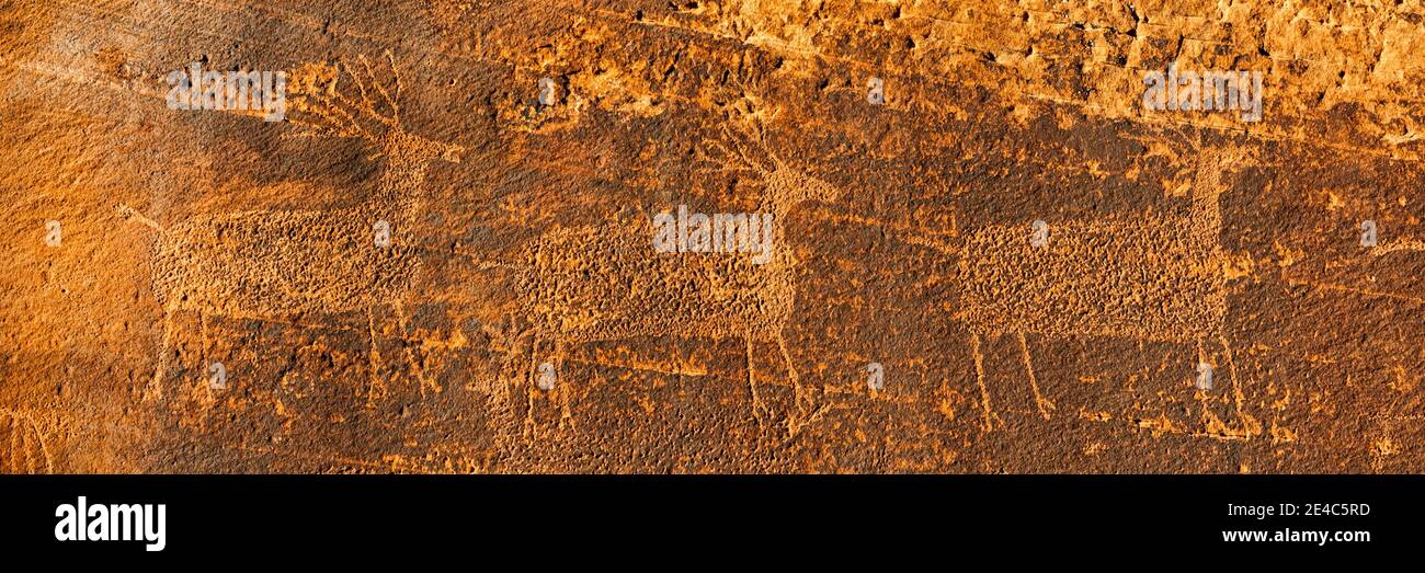 Pétroglyphes sur grès, parc national d'Arches, Utah, États-Unis Banque D'Images