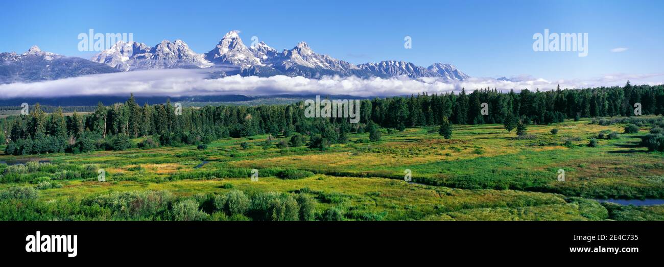Blacktail Ponds avec chaîne de montagnes en arrière-plan, Teton Range, parc national de Grand Teton, Wyoming, États-Unis Banque D'Images