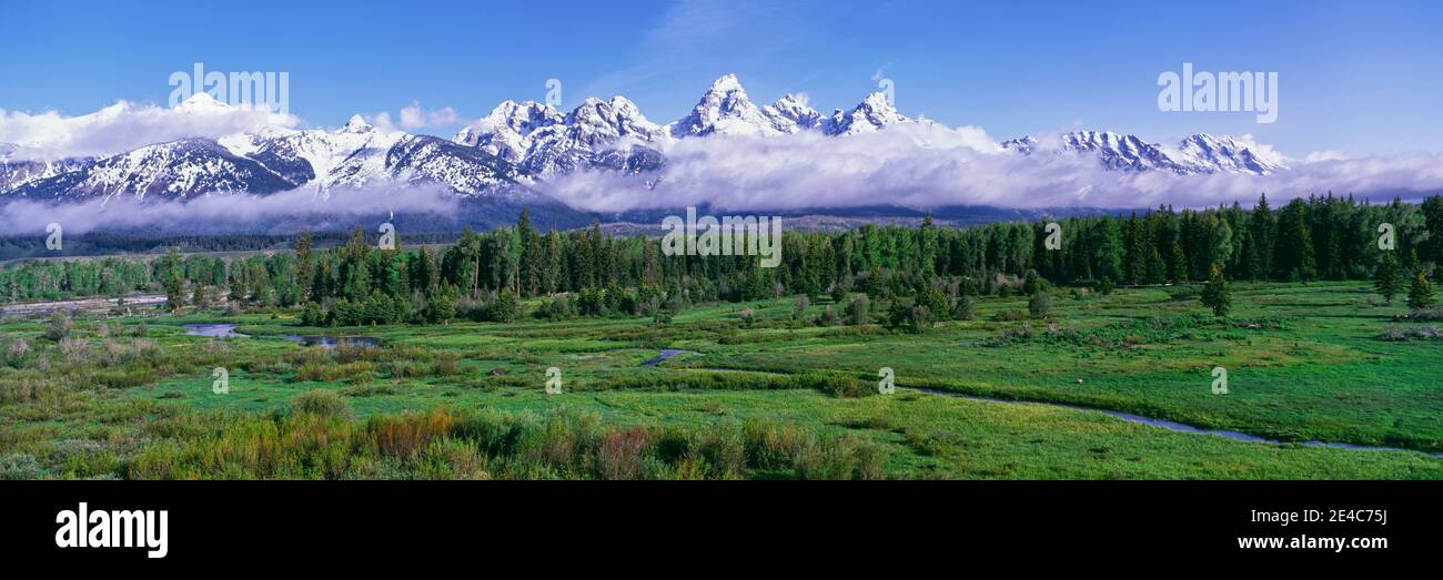 Vue sur la chaîne de Teton et le couloir de la rivière Snake depuis les étangs de Blacktail surplombent la région, parc national de Grand Teton, Wyoming, États-Unis Banque D'Images