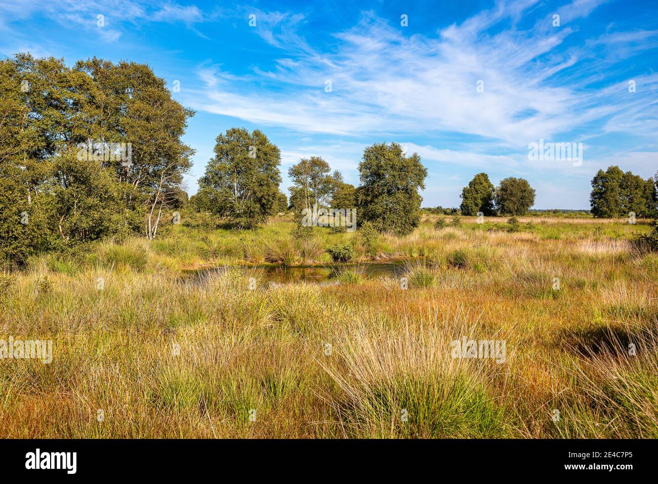 La région Ewiges Meer près de la ville d'Aurich à l'est. Banque D'Images