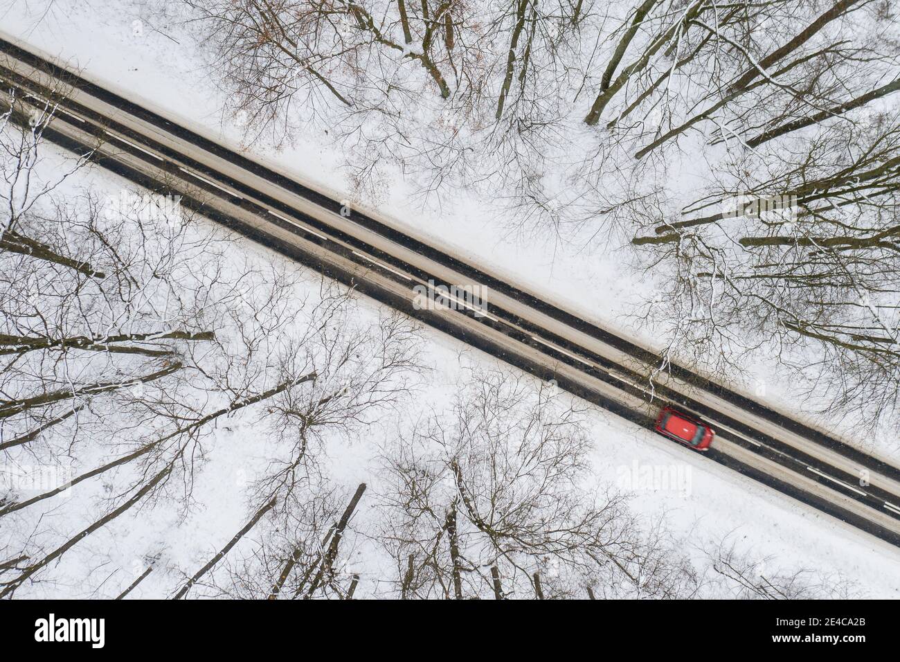 Route à travers la forêt d'hiver Banque D'Images