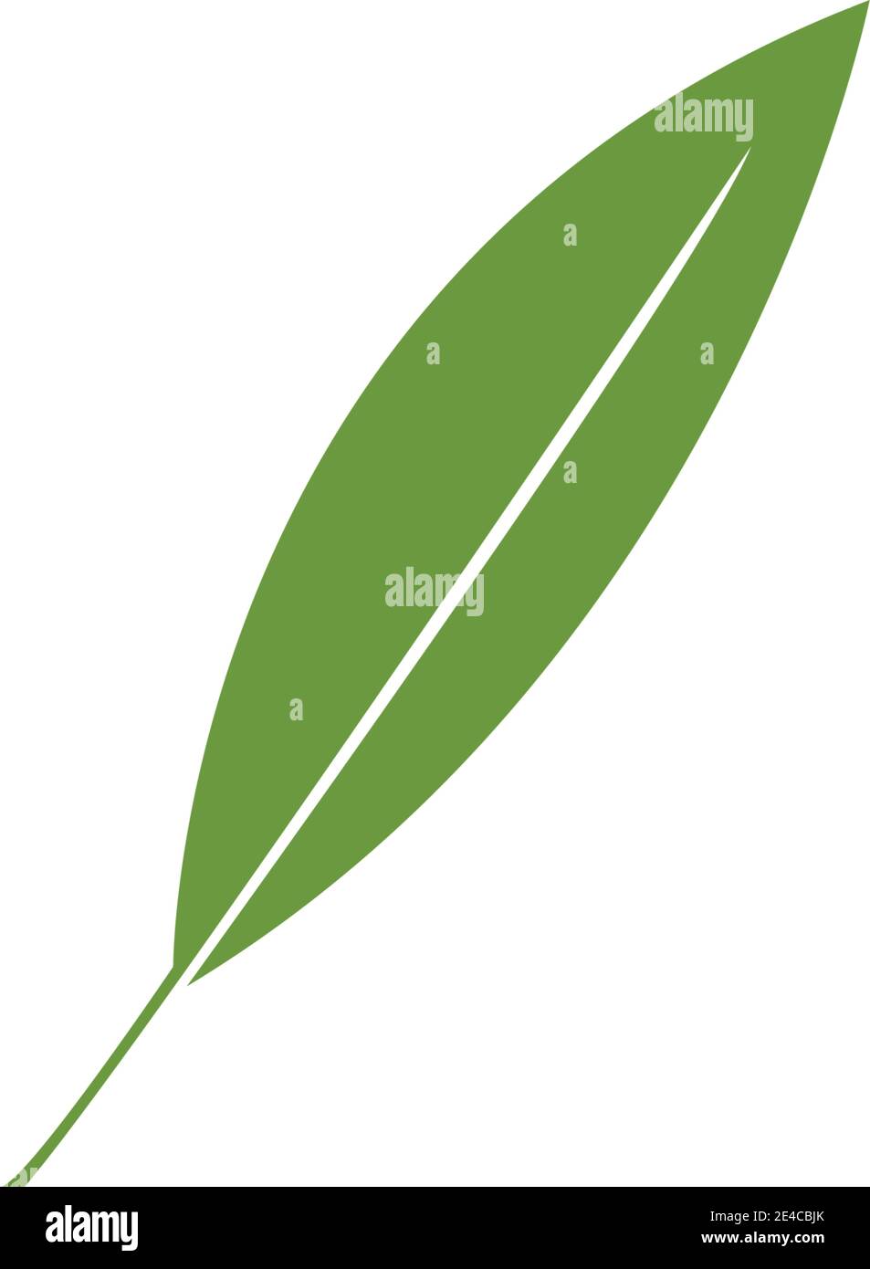 vecteur de logo feuille vert Illustration de Vecteur