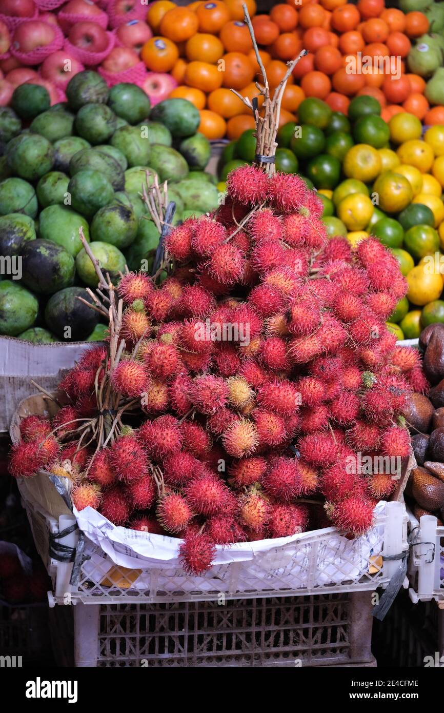 Indonésie Bali Negara - Pasar Umum Negara - public d'État Marché - sélection de fruits Banque D'Images