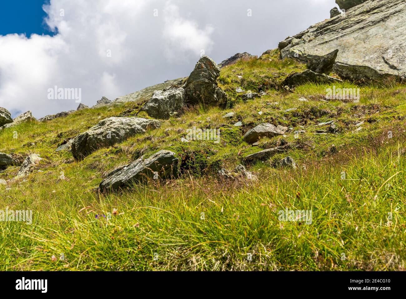 Ardoise, Kaiser-Franz-Josefs-Höhe, Grossglockner, parc national Hohe Tauern, Carinthie, Autriche Banque D'Images