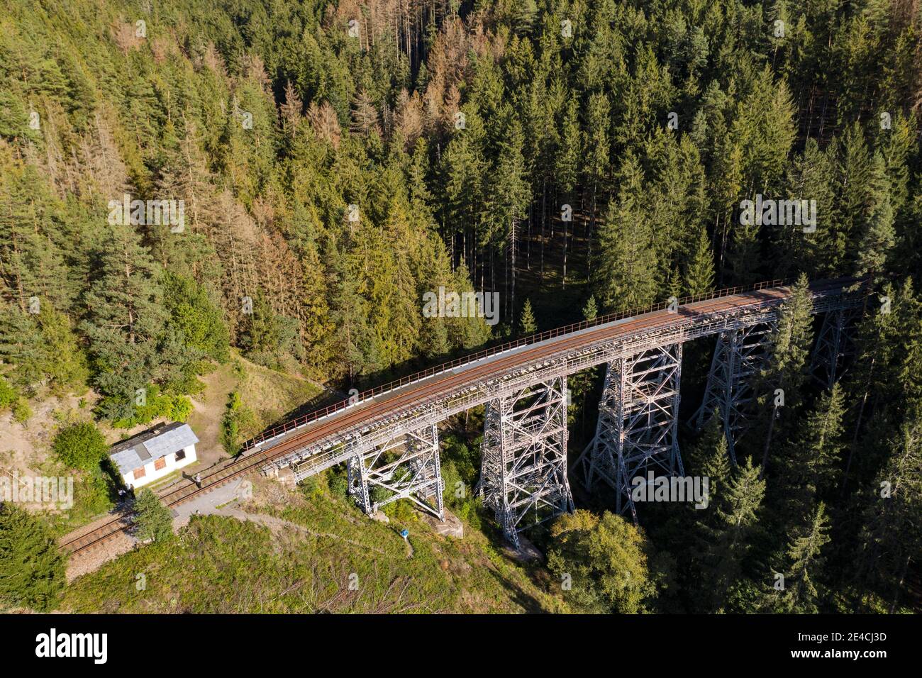 Pont de chemin de fer, personnes, forêt, vue aérienne Banque D'Images