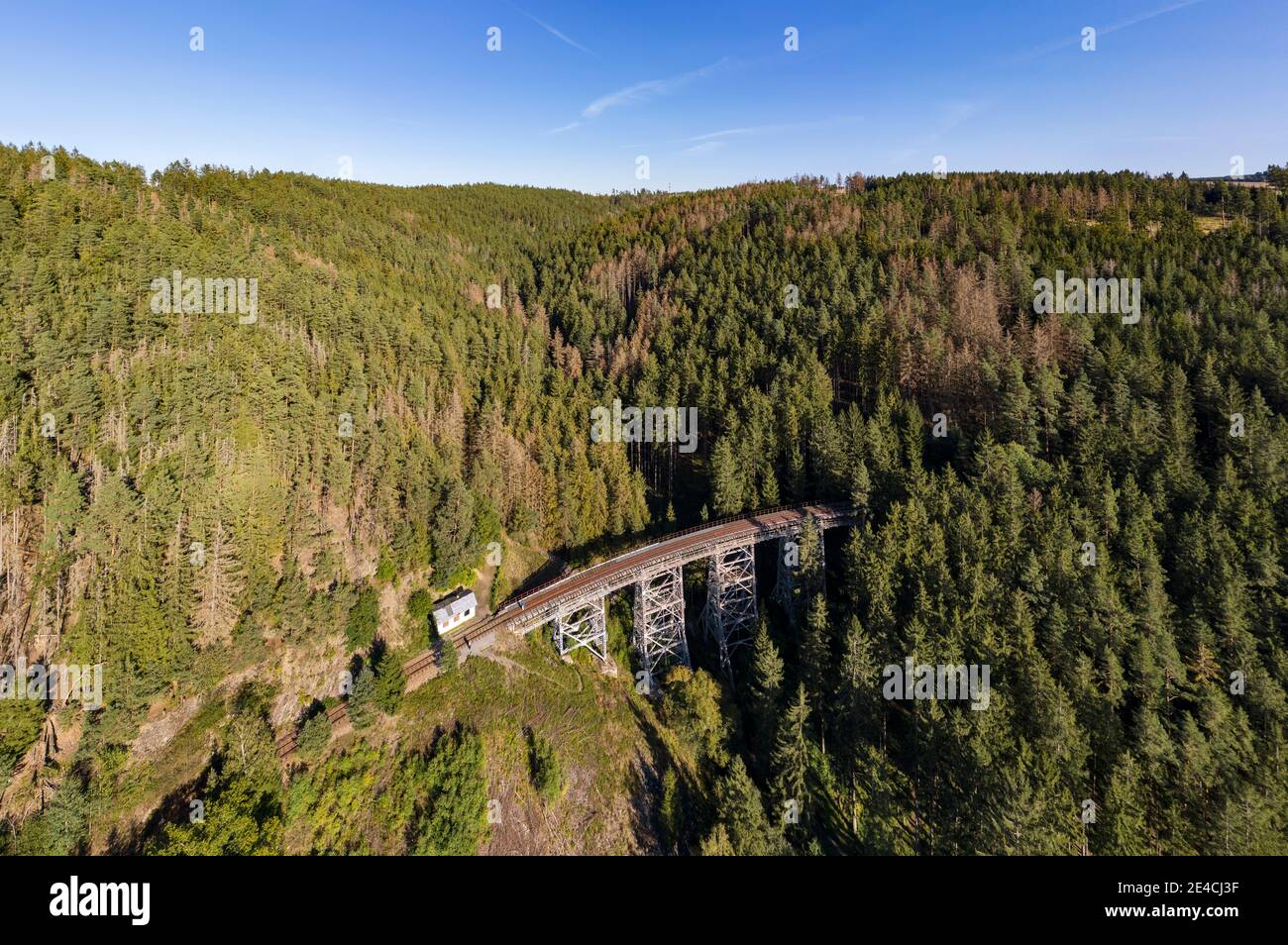 Pont de chemin de fer, forêt, vue aérienne Banque D'Images