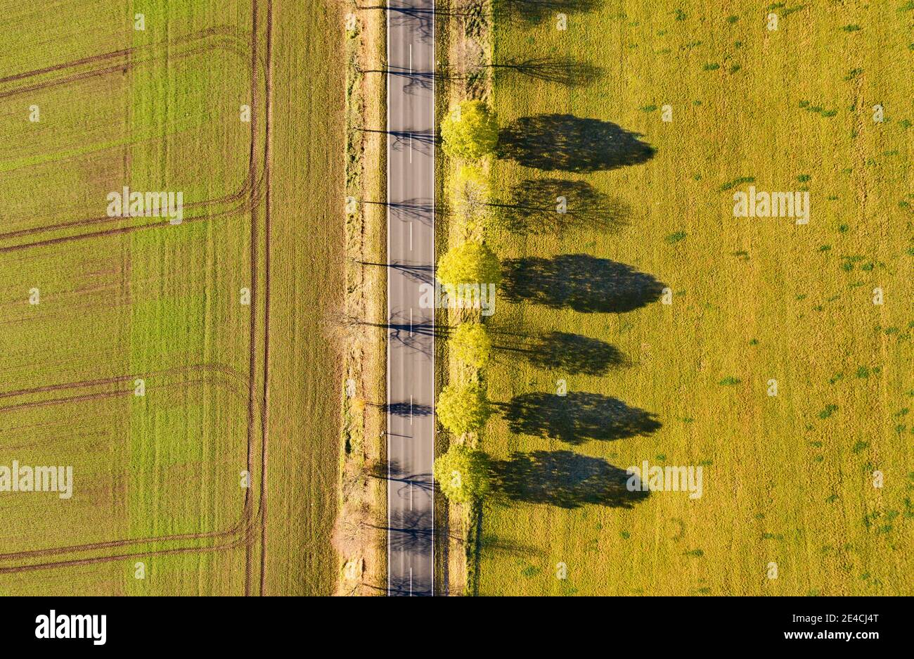 Allemagne, Thuringe, Großbreitenbach, Willmersdorf, rue, champs, arbres, ombres d'arbres, sidelight, vue de dessus, vue aérienne Banque D'Images