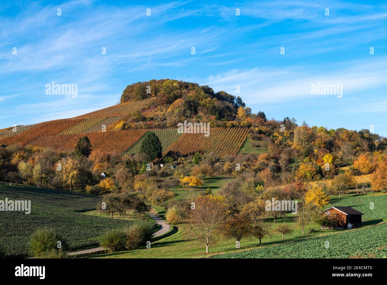 Europe, Allemagne, Bade-Wurtemberg, Grossbottwar, prairie de vergers, vignoble, couleurs d'automne Banque D'Images