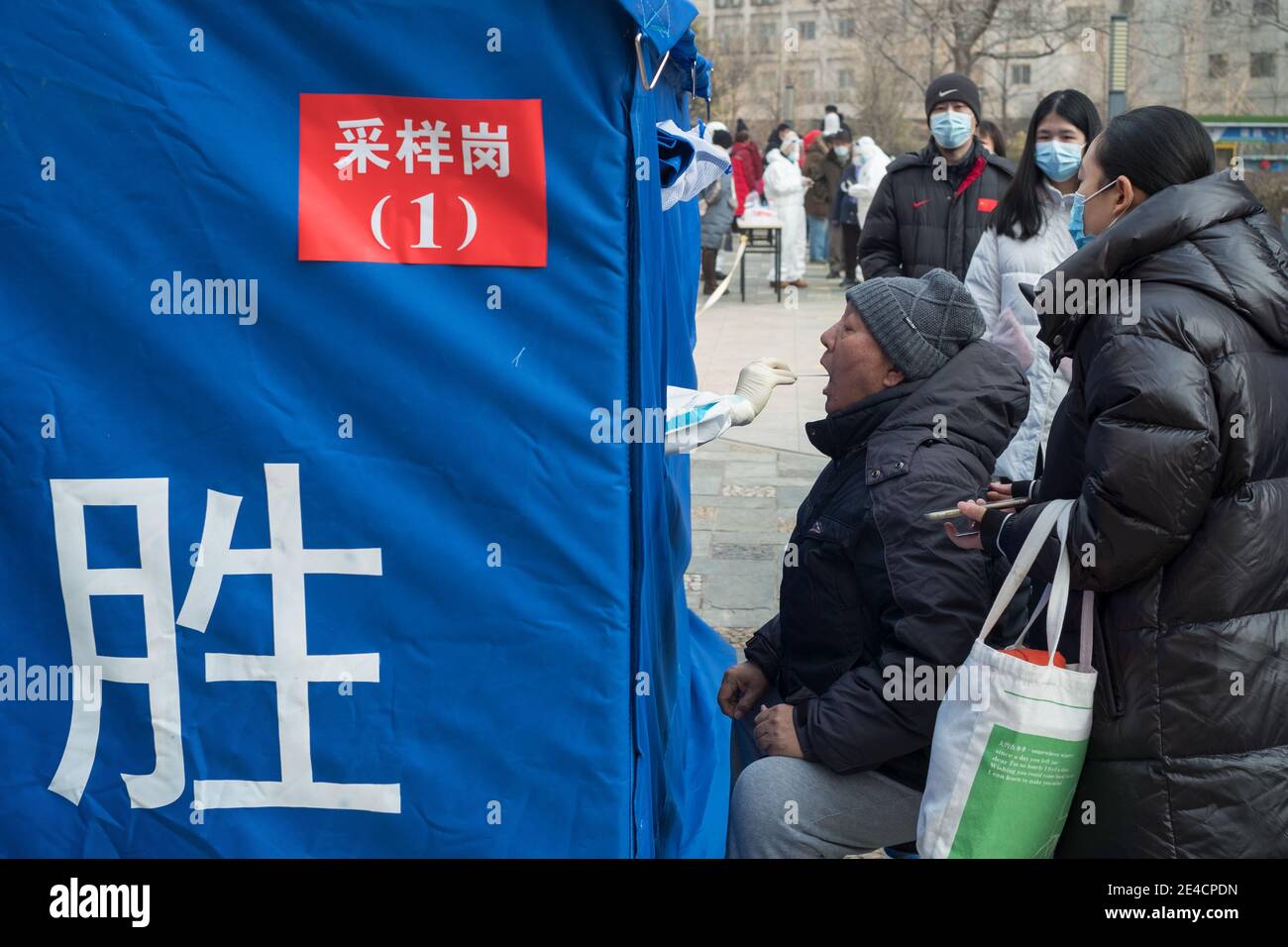 Un travailleur médical prélève un écouvillon auprès d'un résident pour le dépistage des acides nucléiques, à la suite de nouveaux cas de coronavirus à Beijing, en Chine, le 23 janvier 2021. Banque D'Images