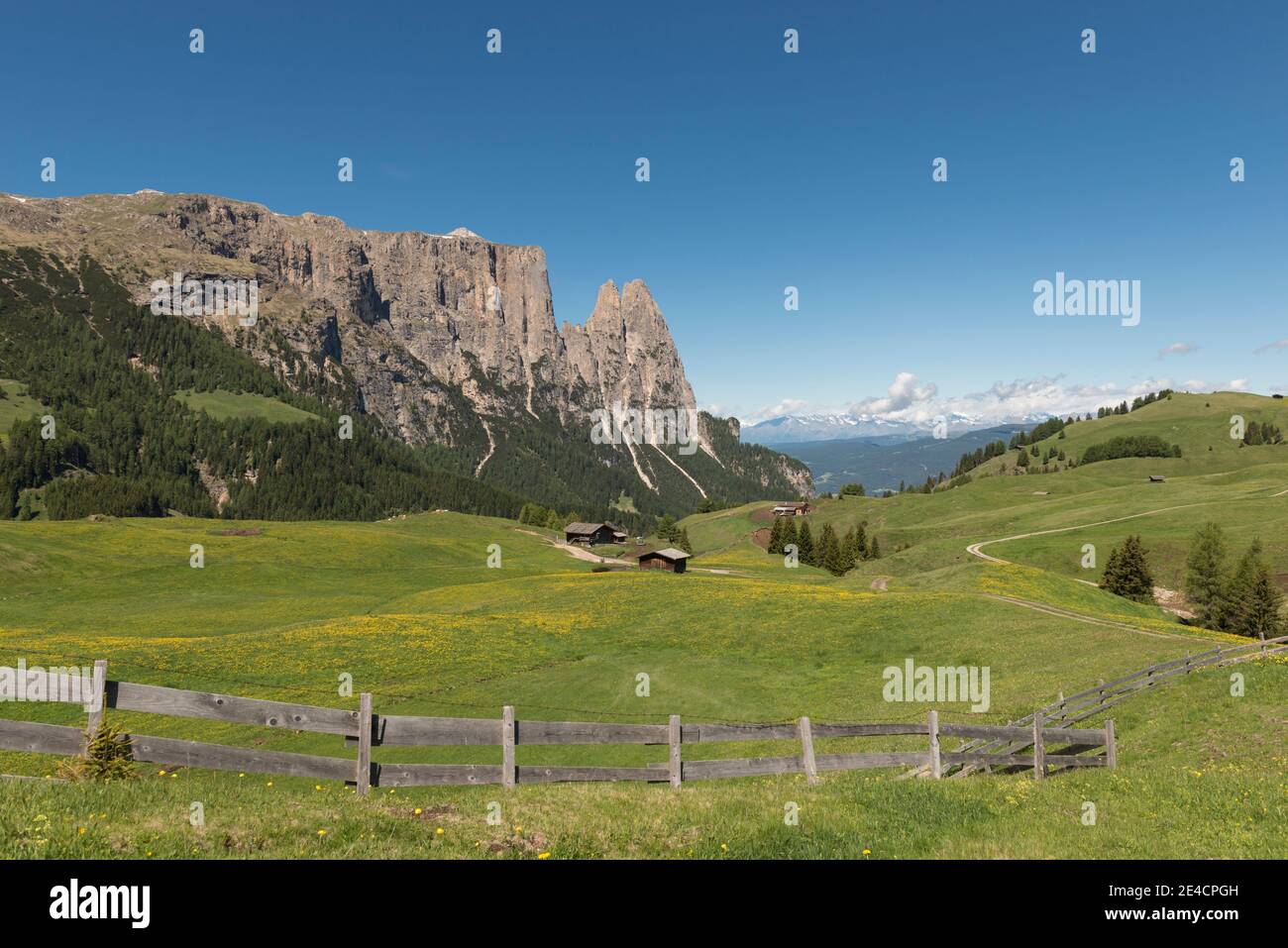 Europe, Italie, Tyrol du Sud, les Dolomites, Seiser Alm, Schlern Banque D'Images