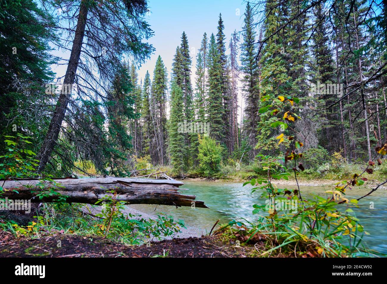 Parc national Banff Banque D'Images