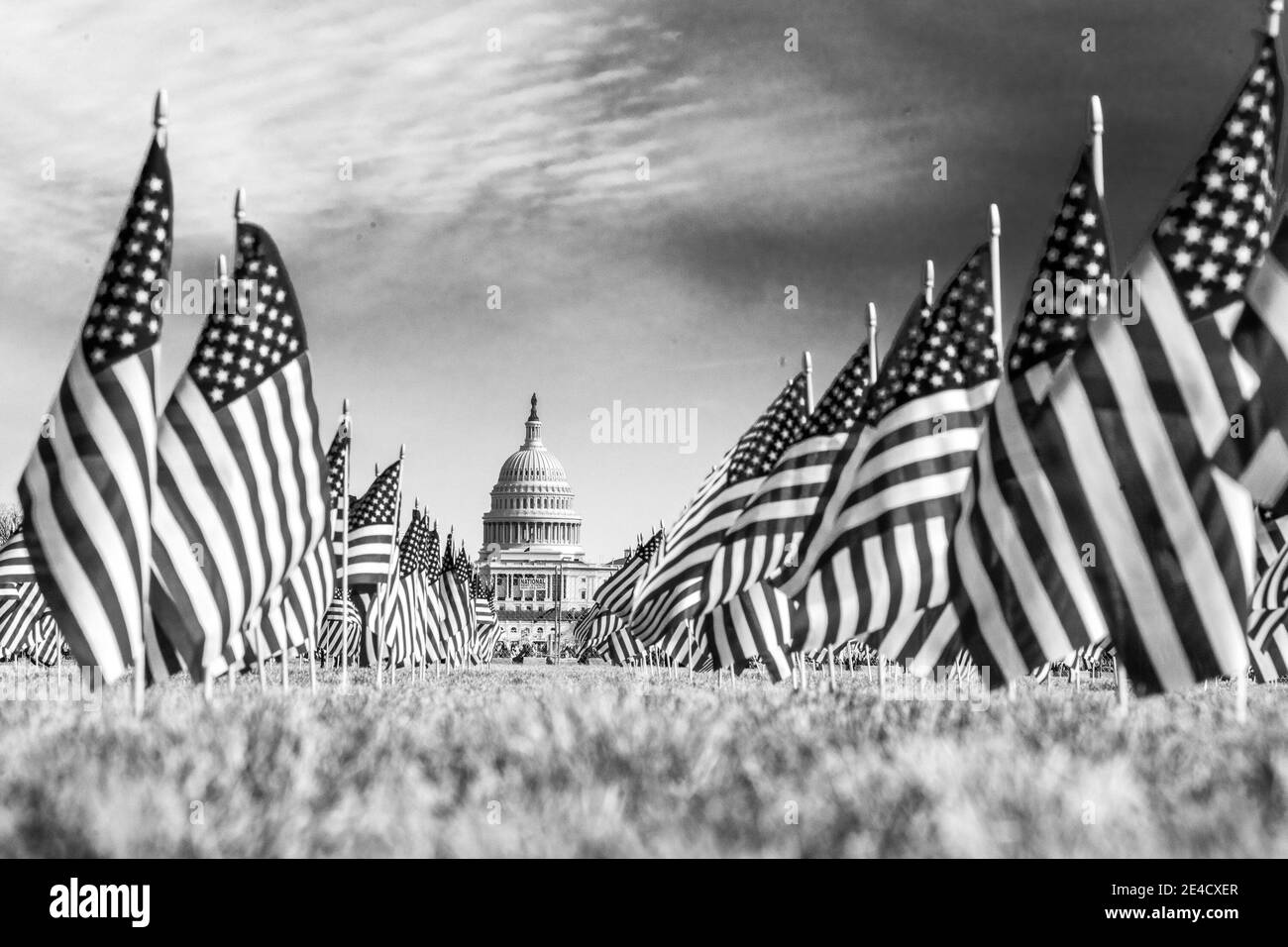 WASHINGTON D.C., JANVIER 22- le « champ des drapeaux » du National Mall est démonté drapeau par drapeau le 22 janvier 2021 à Washington, DC près de 200,000 drapeaux ont été placés sur l'herbe pour représenter les Américains qui sont morts de Covid-19 et qui n'ont pas pu assister à la cérémonie. Photo : Chris Tuite/ImageSPACE/MediaPunch Banque D'Images
