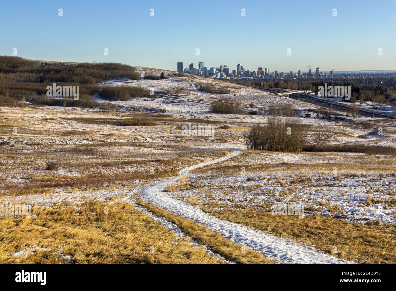 Ville de Calgary Skyline et Parc urbain de Nose Hill Paysage par une journée hivernale froide mais ensoleillée en Alberta, Canada Banque D'Images