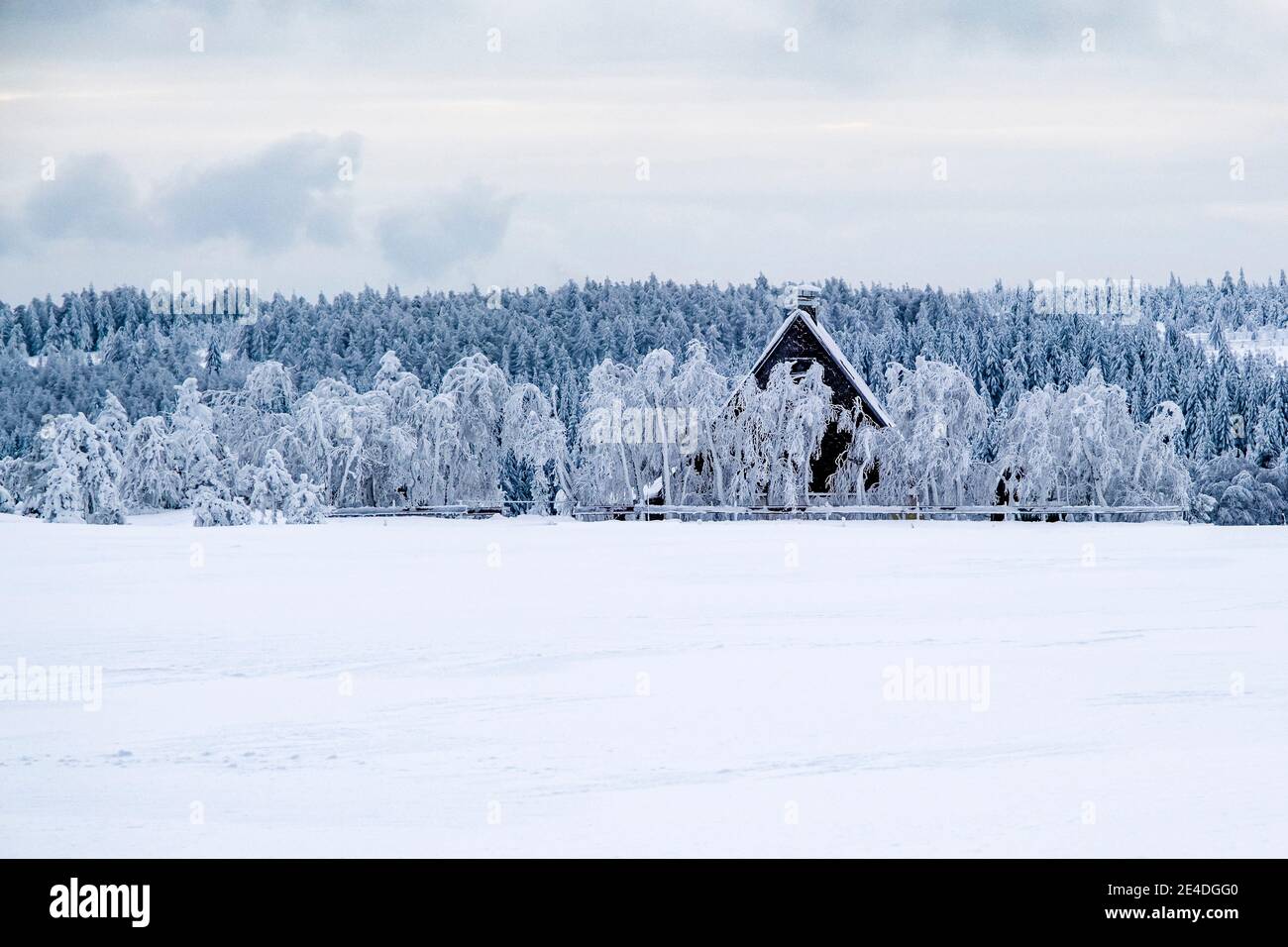 Paysage d'hiver avec arbres, givre, neige et une petite hutte à une journée découverte dans les montagnes Ore. Banque D'Images