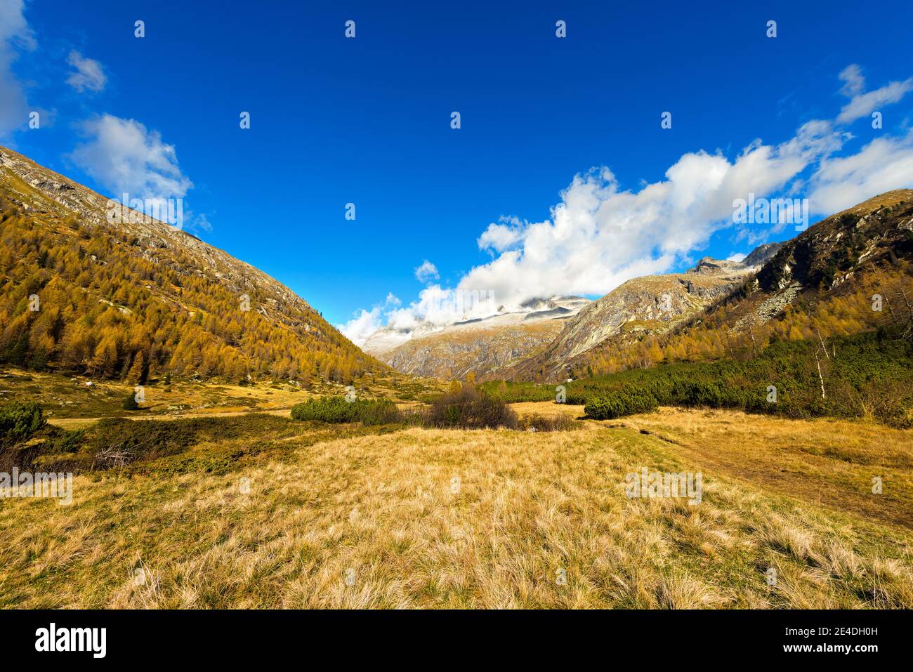 Val di Fumo en automne. Parc national d'Adamello Brenta, Trentin-Haut-Adige, Italie Banque D'Images
