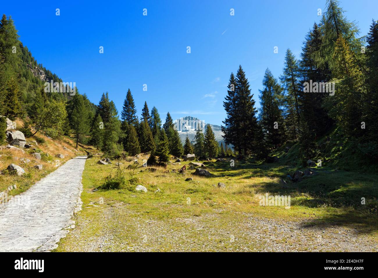Sentier dans le parc national d'Adamello Brenta et pic de Care Alto (3462 m). Trentin-Haut-Adige, Italie Banque D'Images