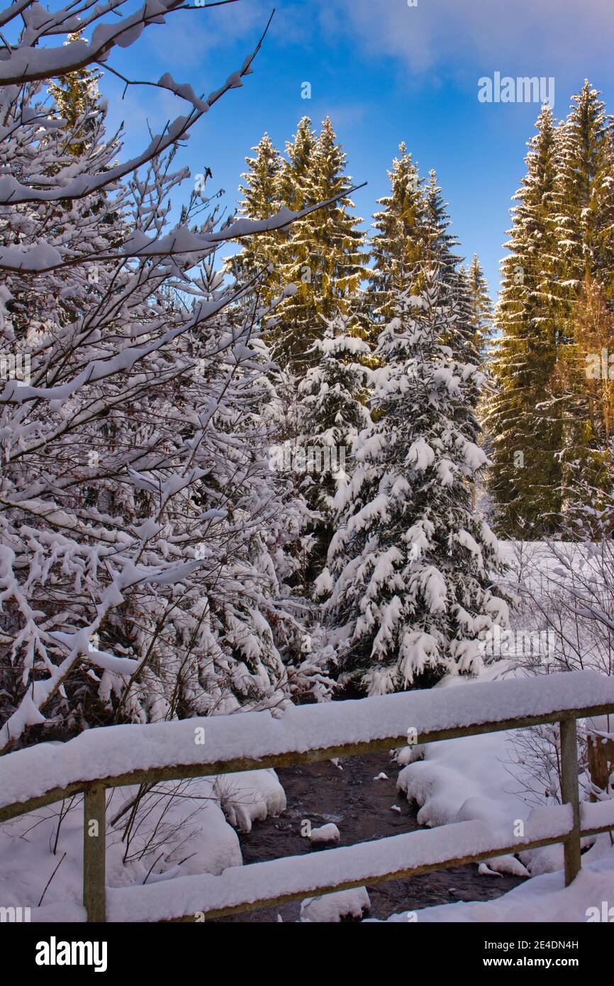 pont sur petite rivière en forêt d'hiver avec ciel bleu Banque D'Images