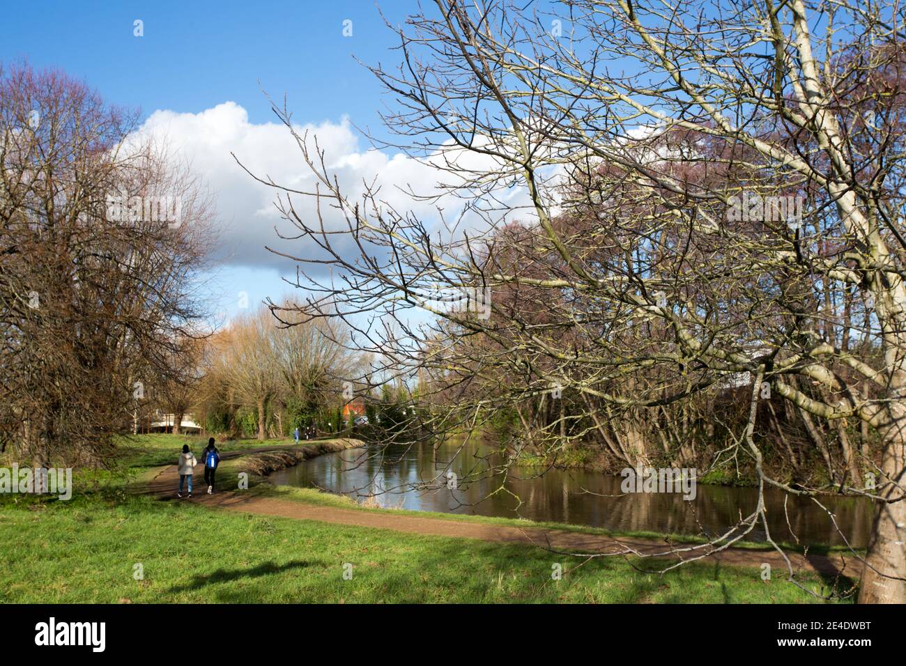 River Wey, Guildford, Surrey Banque D'Images