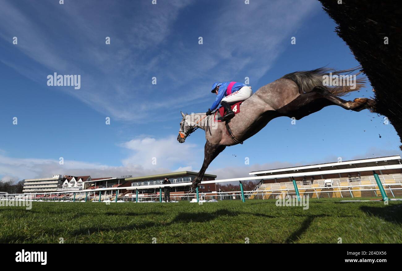 Silver Hallmark, criblé par Adam Wedge sur le chemin de gagner le Read Nicky Henderson's Unibet Blog novice Chase pendant la journée de poursuite de Peter Marsh à l'hippodrome de Haydock Park. Date de la photo: Samedi 23 janvier 2021. Banque D'Images