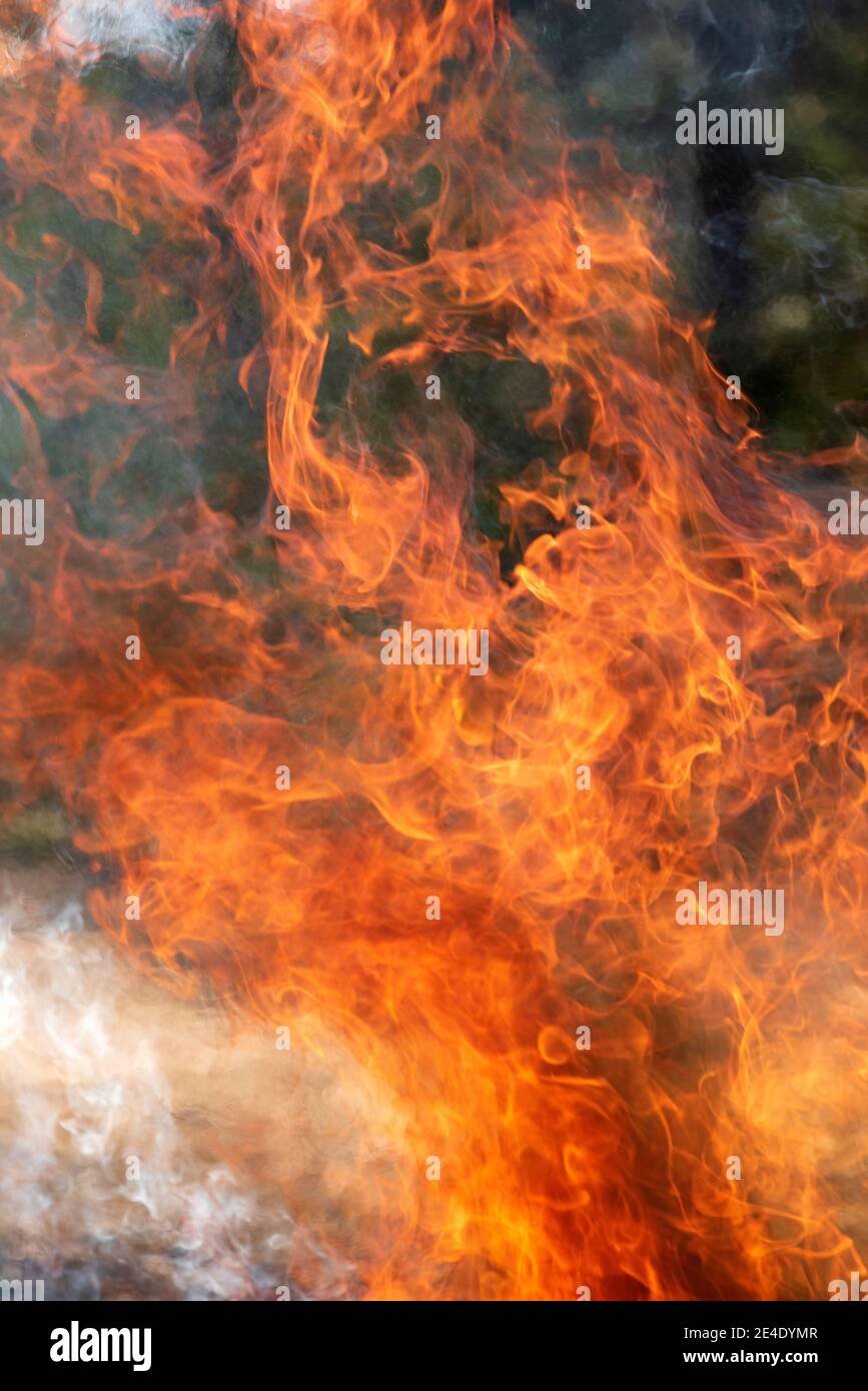 Feu qui fait rage, feu qui brûle, feu de camp, lutte contre le feu Banque D'Images