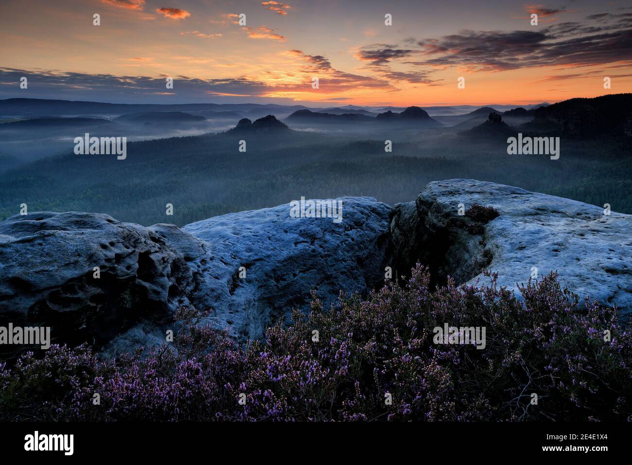 Kleiner Winterberg, belle vue du matin sur la falaise de grès dans la vallée profonde de la brume en Saxe Suisse, paysage Allemagne. Brouillard et beau bac Banque D'Images