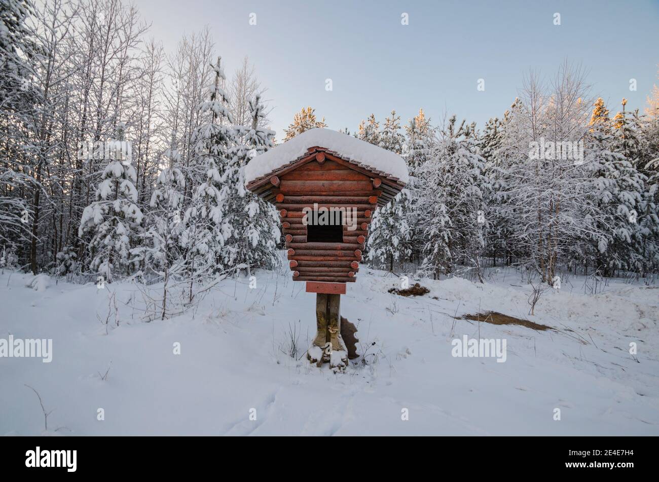 Décembre 2020 - Pinega. Une hutte sur les cuisses de poulet. Une fabuleuse maison en bois. Russie, région d'Arkhangelsk Banque D'Images