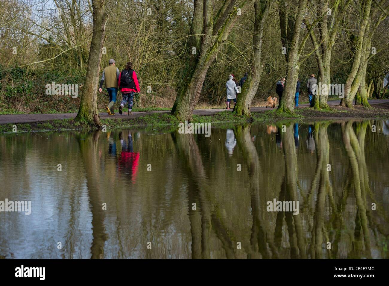 Rickmansworth, Royaume-Uni. 23 janvier 2021. Météo au Royaume-Uni : les gens font de l'exercice quotidien à Rickmansworth Aquadrome, dans le Hertfordshire, par une journée froide pendant le confinement alors que la pandémie du coronavirus se poursuit. Après de fortes pluies récentes, plusieurs parties de l'aquadrome ont débordé dans les zones environnantes. Credit: Stephen Chung / Alamy Live News Banque D'Images