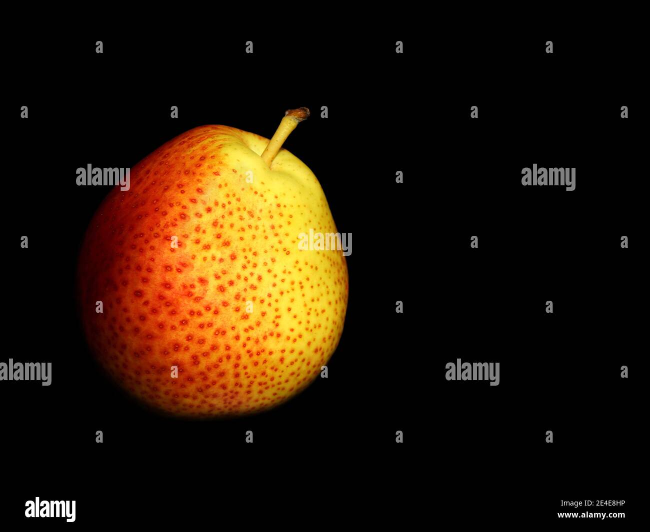 Poire d'Afrique du Sud. Fruit mûr isolé sur fond noir avec espace de copie. Banque D'Images