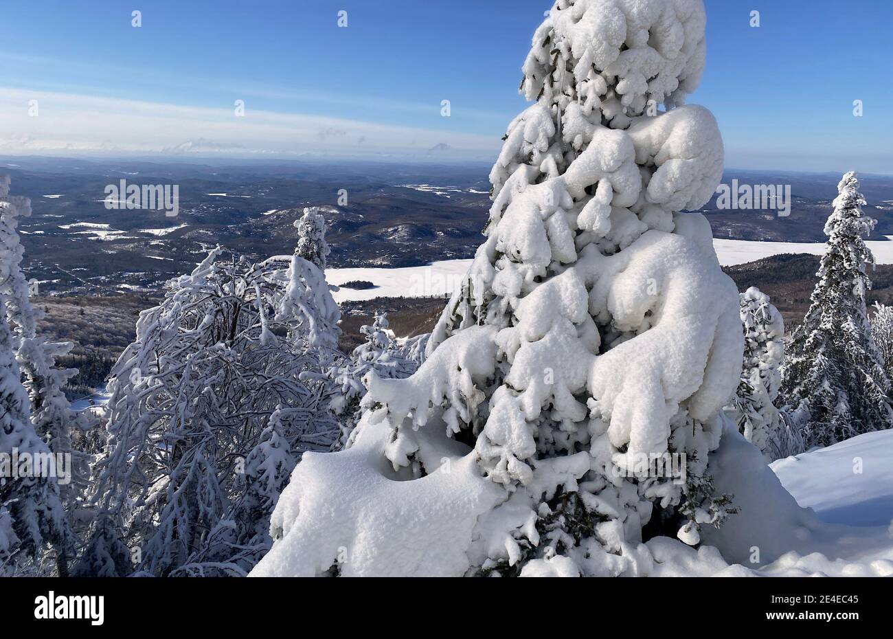 Arbres enneigés au sommet du Mont Tremblant avec le lac en arrière-plan, Québec, Canada Banque D'Images