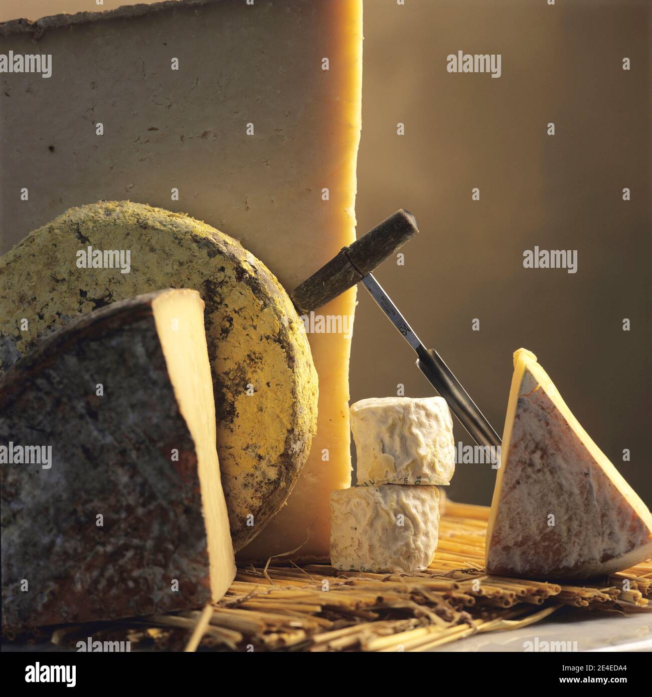 Variété de fromages d'Auvergne (fromages français) Banque D'Images