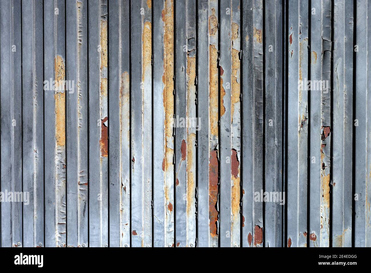 détail de la texture détériorée d'une porte en métal gris Banque D'Images