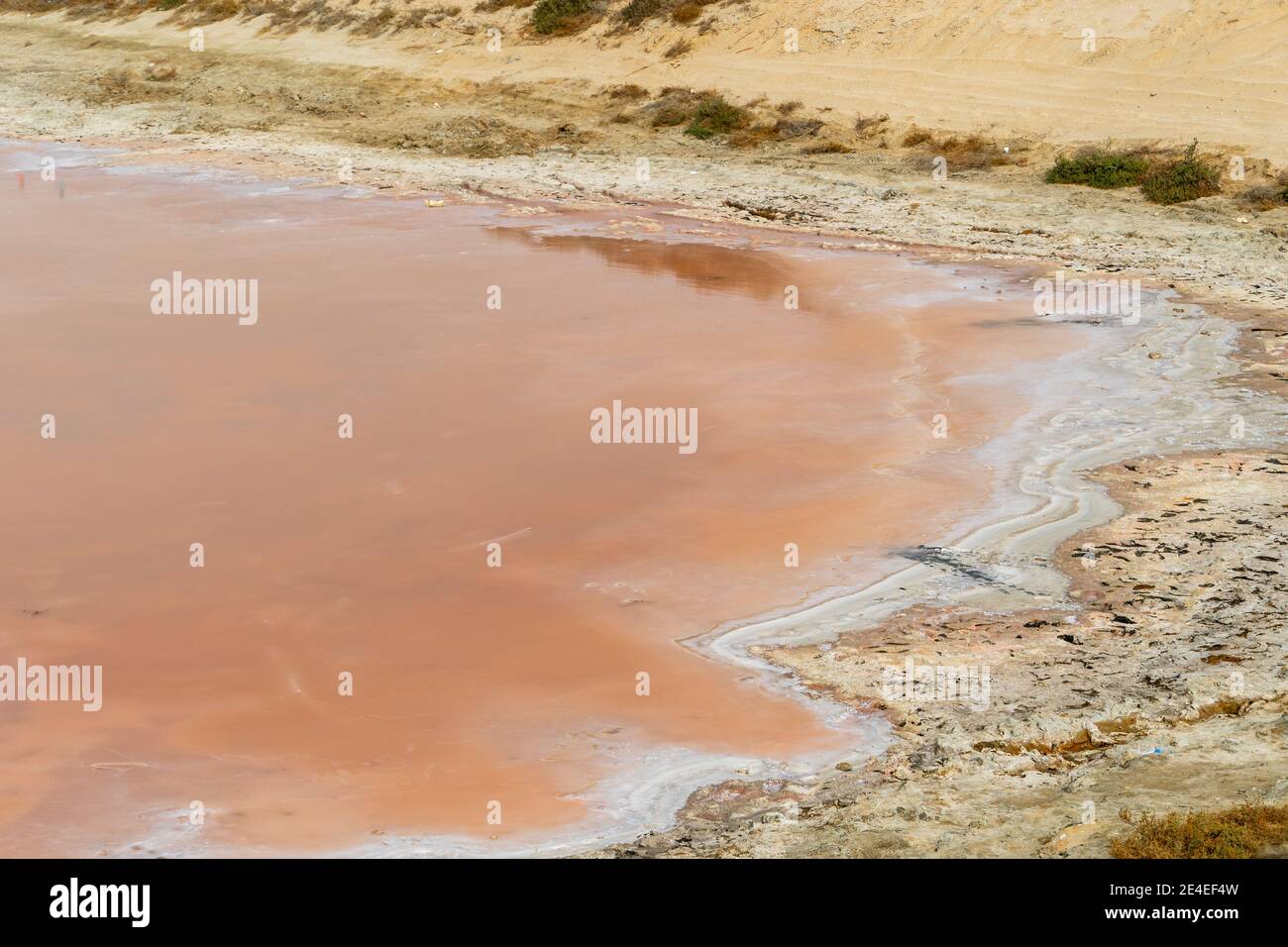 Bord d'un lac rose avec des bords de sel blanc dans le sable à Al Rams, Émirats arabes Unis à Ras al Khaimah émirat. Banque D'Images