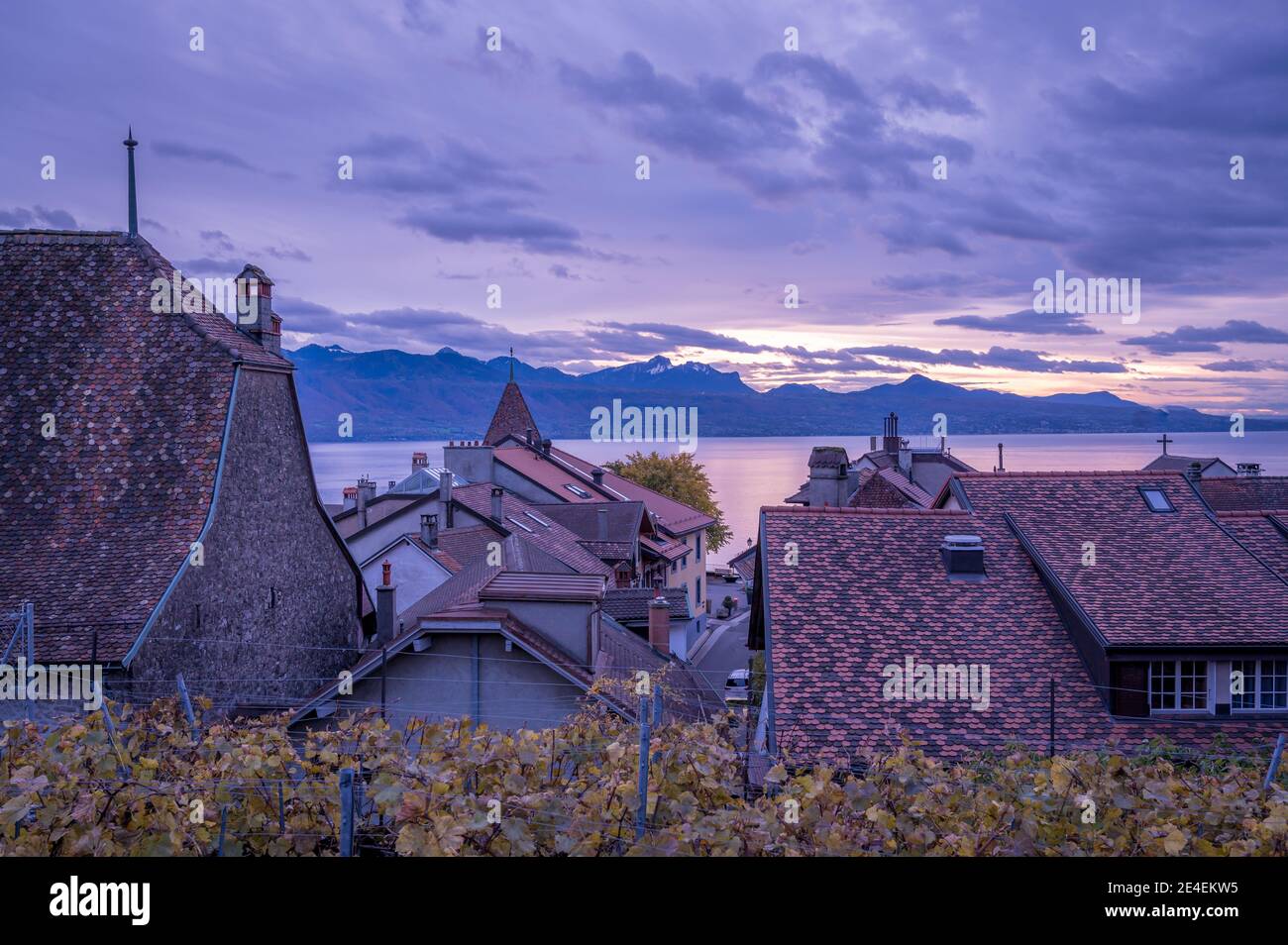 Vue panoramique sur les vignobles au-dessus du lac Leman (lac de Genève) avec ciel et nuages. Région célèbre de Lavaux, canton de Vaud, Suisse. Ambiance tranquille. Banque D'Images