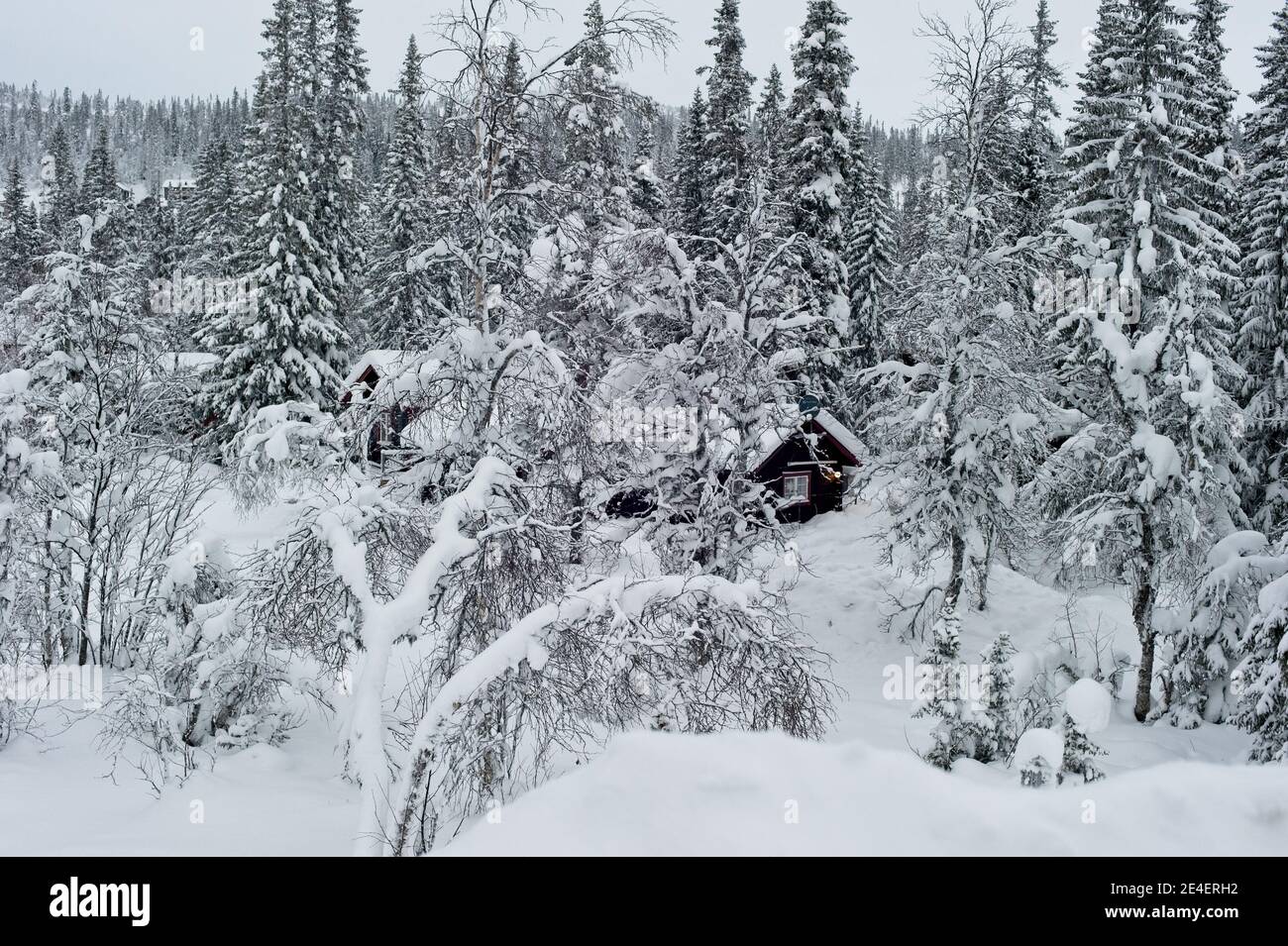 Belles scènes d'hiver lors d'un voyage de ski à Vemdalen in Jämtland, Suède Banque D'Images