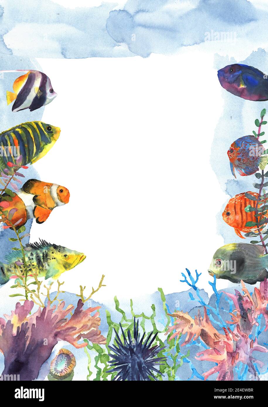 Cadre de poissons tropicaux exotiques colorés dessiné à la main dans l'aquarelle pour la décoration. Monde sous-marin avec floral. Icône de site Web. Banque D'Images
