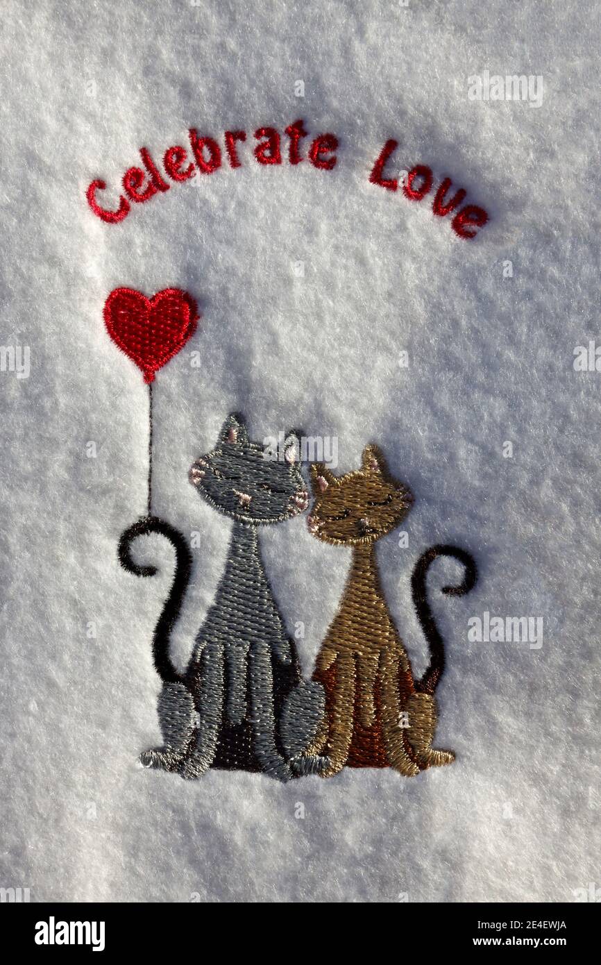 Broderie de Saint-Valentin, mots célébrer l'amour, texte, deux chats, coeur, artisanat, compétence, vacances, mignon, PR Banque D'Images