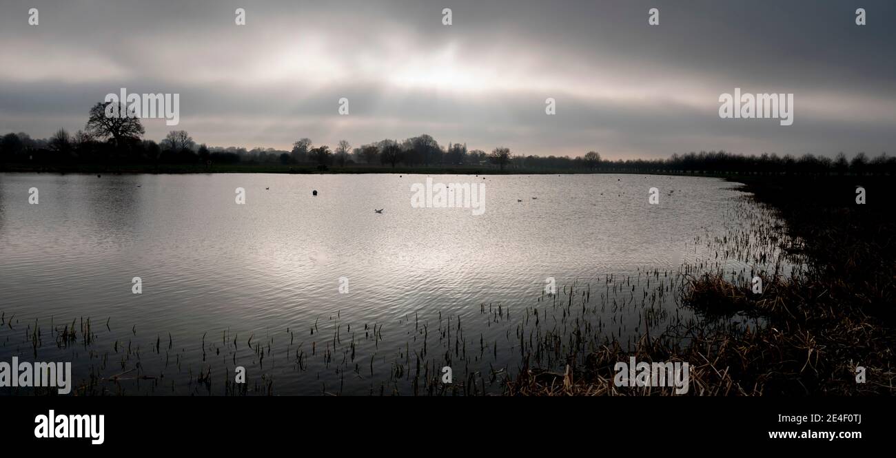 Royaume-Uni, Angleterre, Londres, Hampton court Rick's Pond Banque D'Images