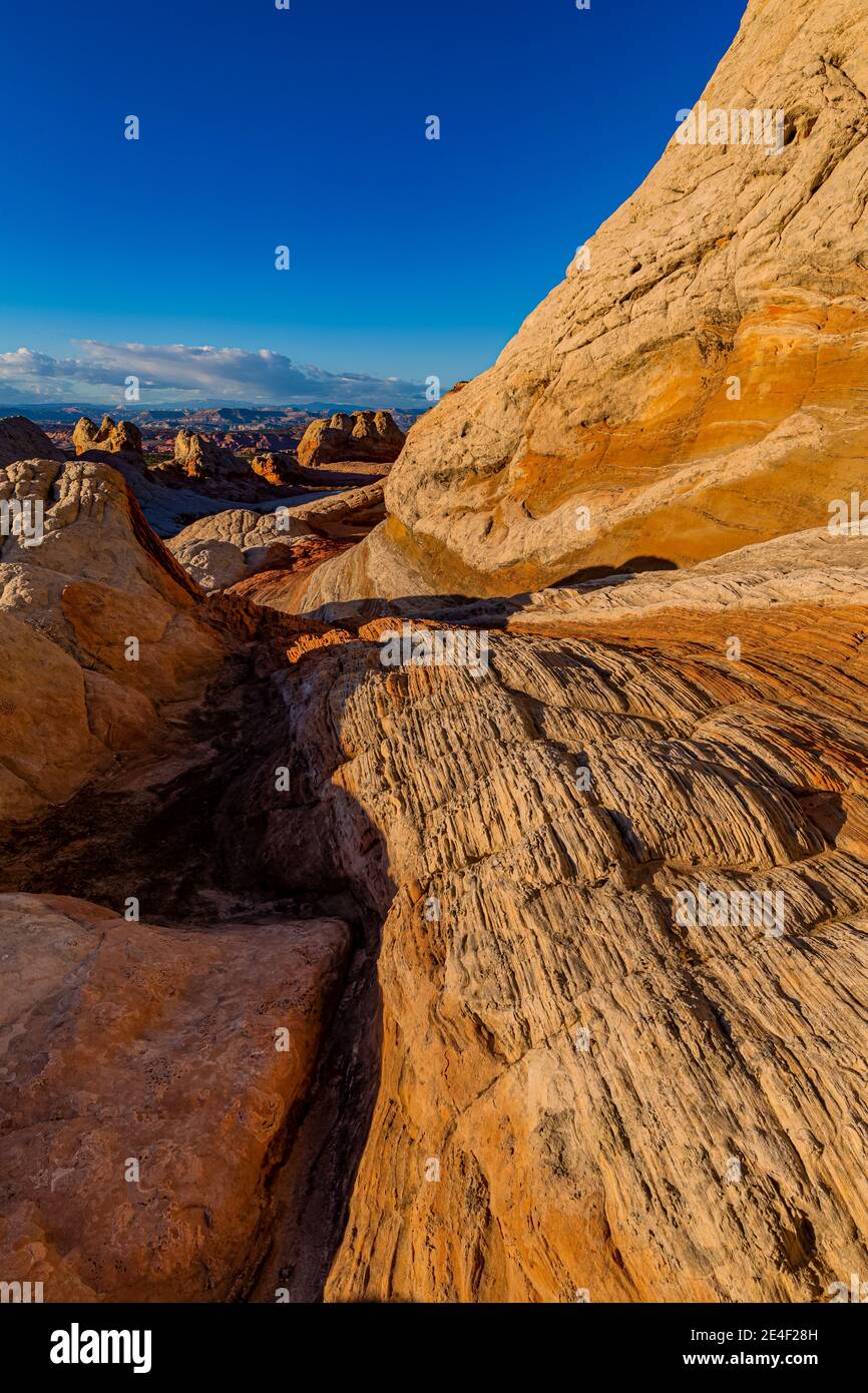 Formations de grès Navajo sculptées et striées de White Pocket, monument national Vermilion Cliffs, Arizona, États-Unis Banque D'Images