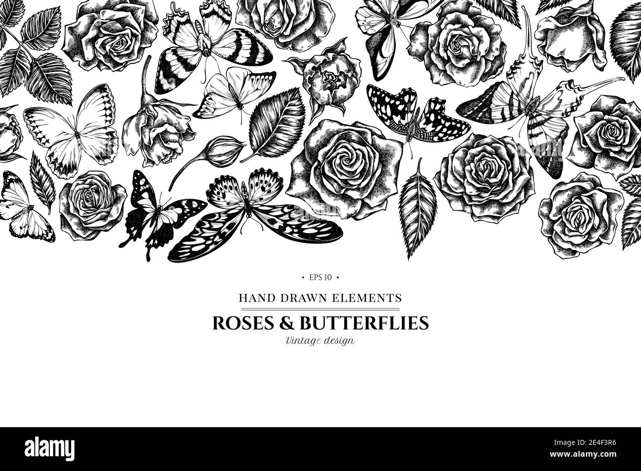 Motif floral avec papillon noir et blanc au citron, croquant rouge, queue de cyprès géant africain, alcides agathyrsus, oiseau doré de wallace, violet Illustration de Vecteur