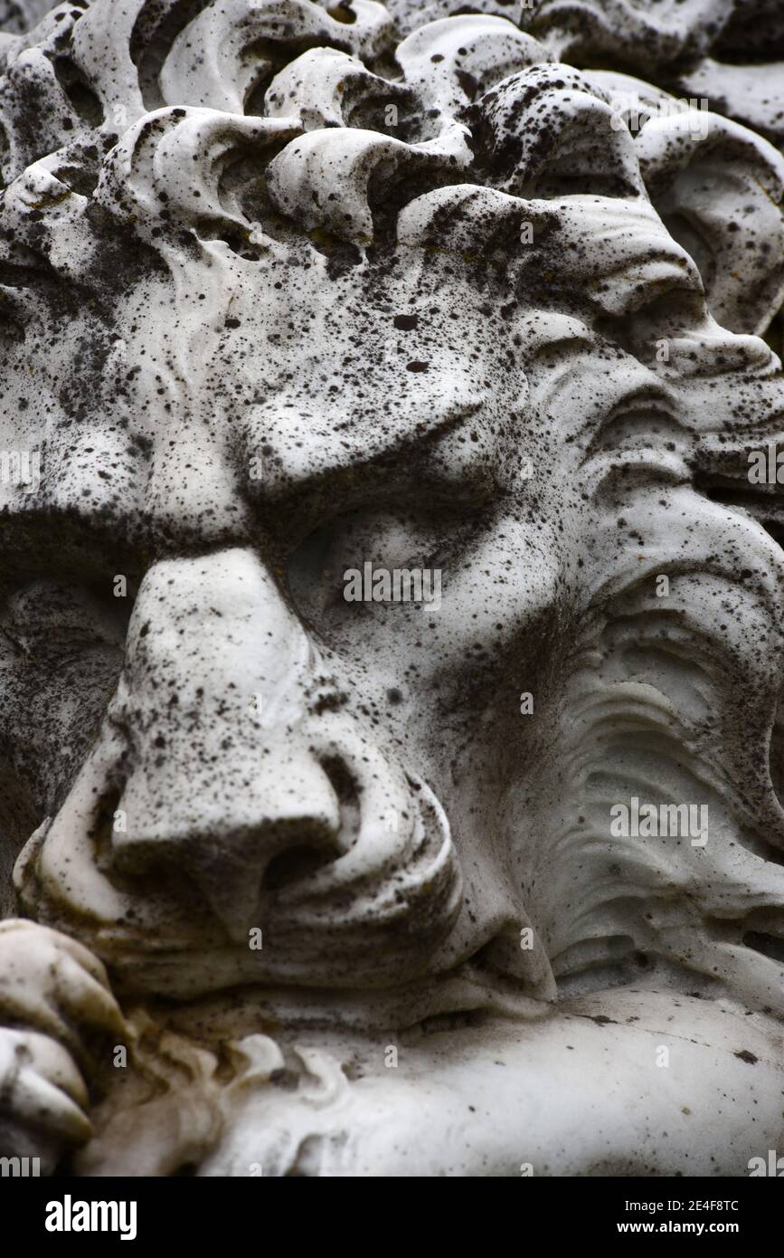 La vieille tête colorée de la statue d'un lion endormi avec les yeux fermés sur le terrain du château Hatley à Colwood, Colombie-Britannique, Canada sur Van Banque D'Images