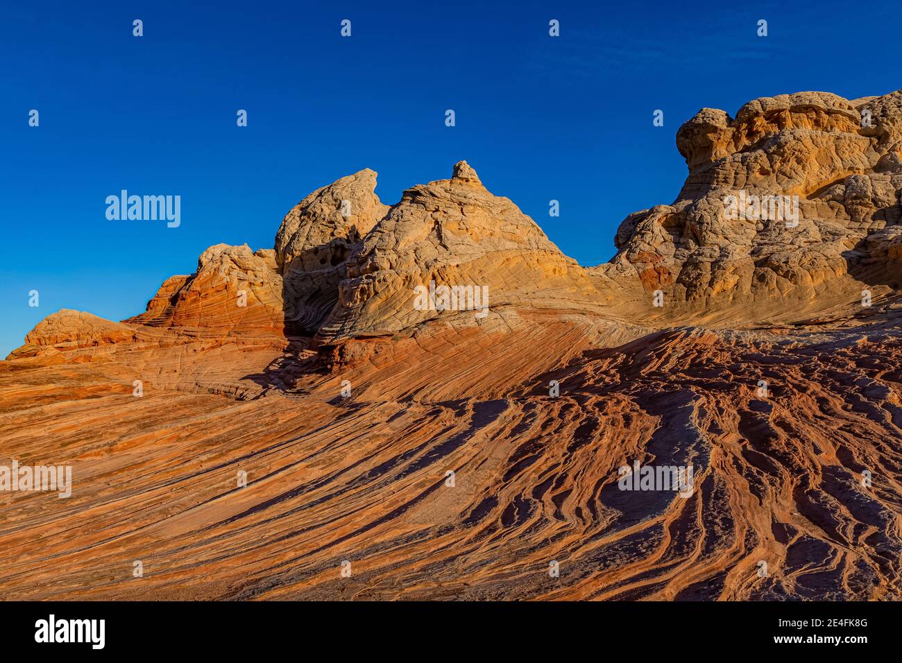 Formations de grès Navajo de White Pocket, monument national de Vermilion Cliffs, Arizona, États-Unis Banque D'Images