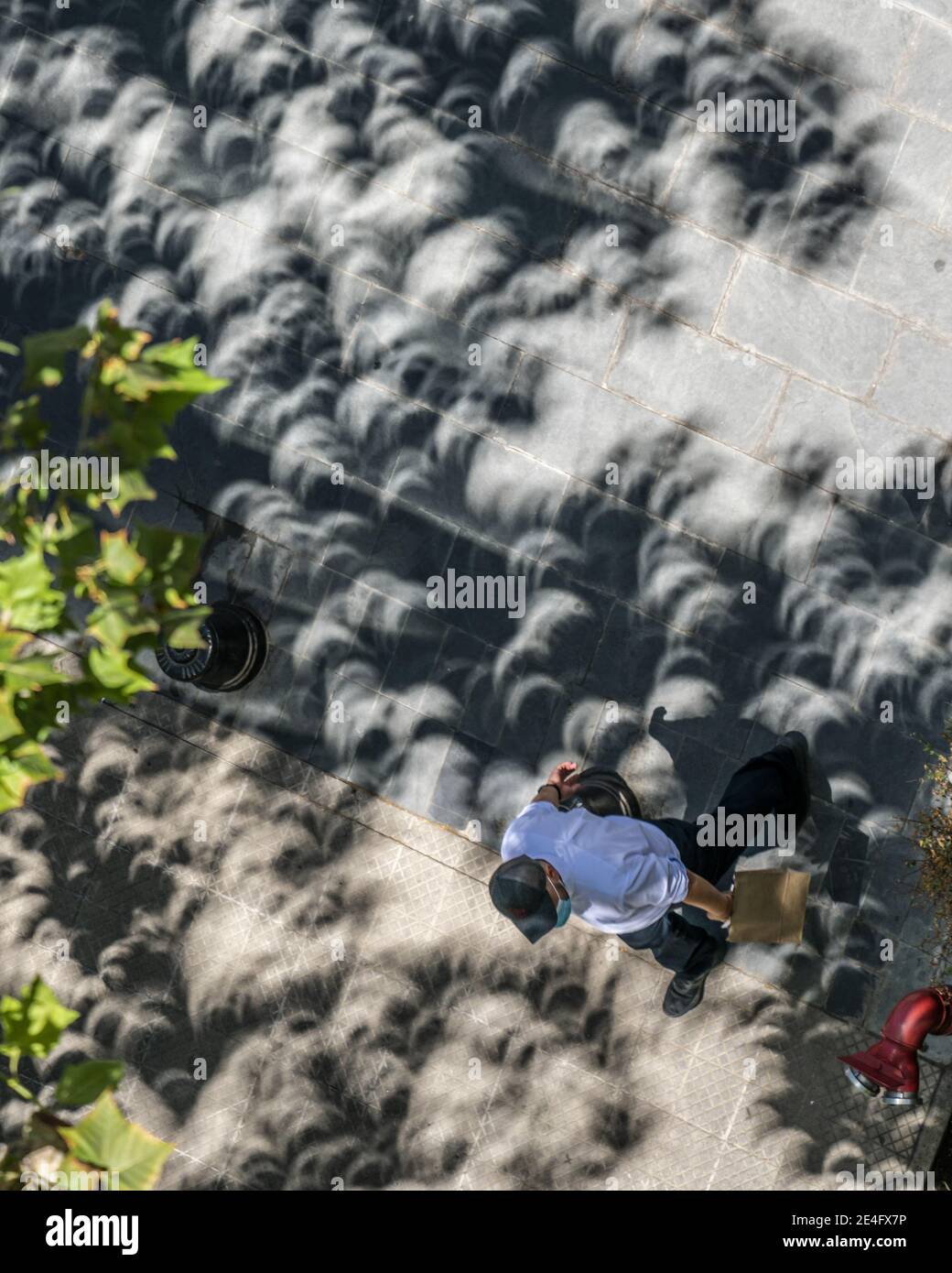 De vrais gens oubliant ce qui se passe autour d'eux: Minicelipses dans la vue de projection des ombres des feuilles et des branches d'arbres dans les rues Banque D'Images
