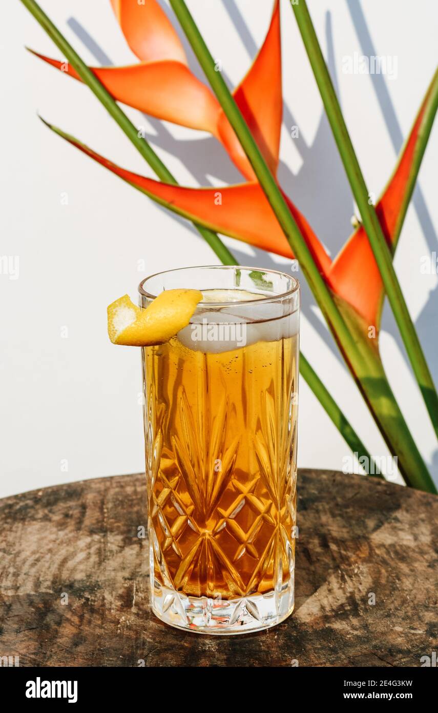 Thé glacé dans un verre à cocktail debout sur un bois table devant un mur blanc extérieur avec des ombres d'une plante de feuille de palmier en arrière-plan Banque D'Images