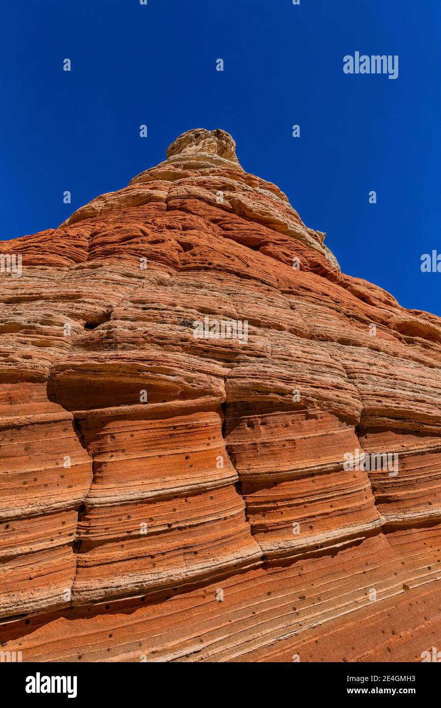 Formations de grès Navajo aux formes fantastiques à White Pocket, monument national Vermilion Cliffs, Arizona, États-Unis Banque D'Images